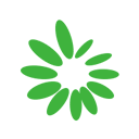 亚洲国产成人在线视频